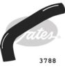 FIAT 5977220 Radiator Hose